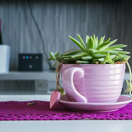 Candy Bezobslugowy * ワルシャワ